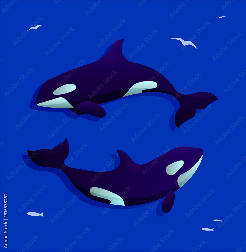 Fototapeta premium Vector illustration with two circling killer whales on deep blue background surrounded by silhouettes of birds and fishes. Siutable for poster, banner, cards, print.