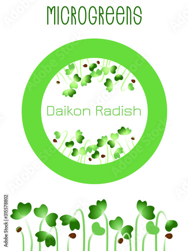 Microgreens Daikon Radish. Seed packaging design, round element in the center. Sprouting seeds of a plant