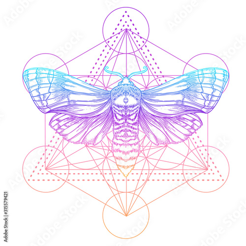 Moth over mandala. Beautiful vintage round pattern. Vector illustration. Psychedelic neon composition. 