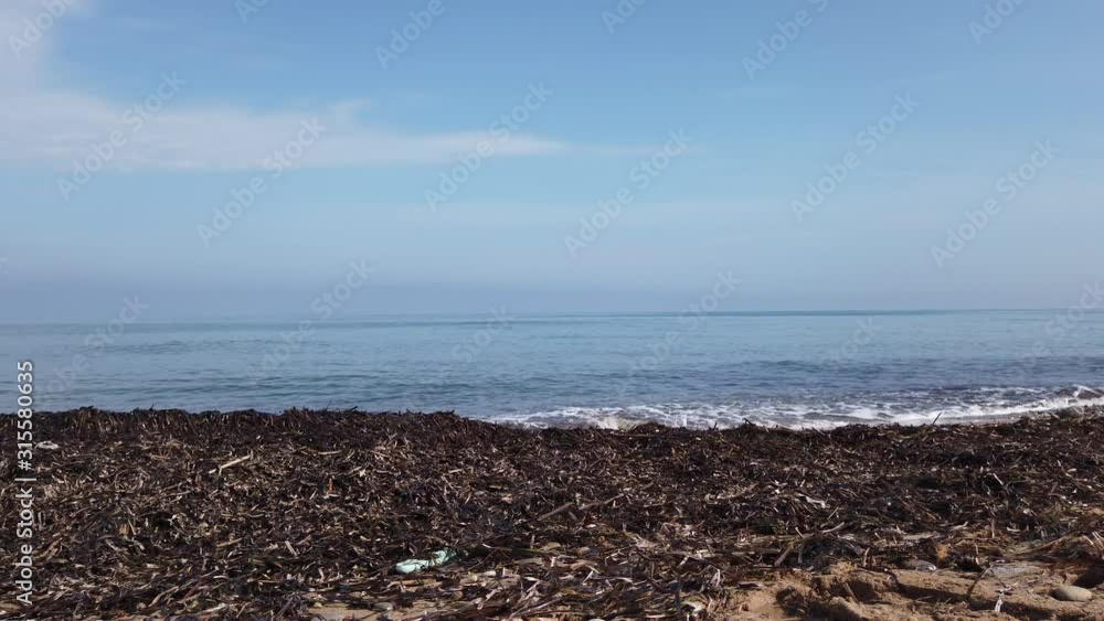 Landscape, panorama of the sea and a bunch of seaweed, garbage, washed ashore after a storm. Landscape, panorama of the sea and a bunch of seaweed, garbage, washed ashore after a storm.