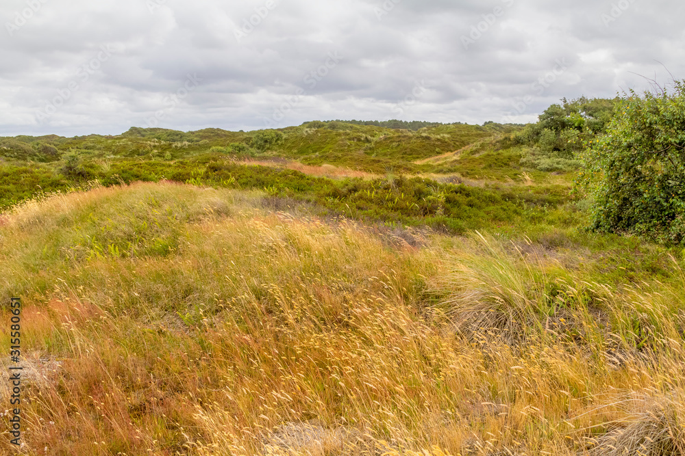 Spiekeroog in East Frisia