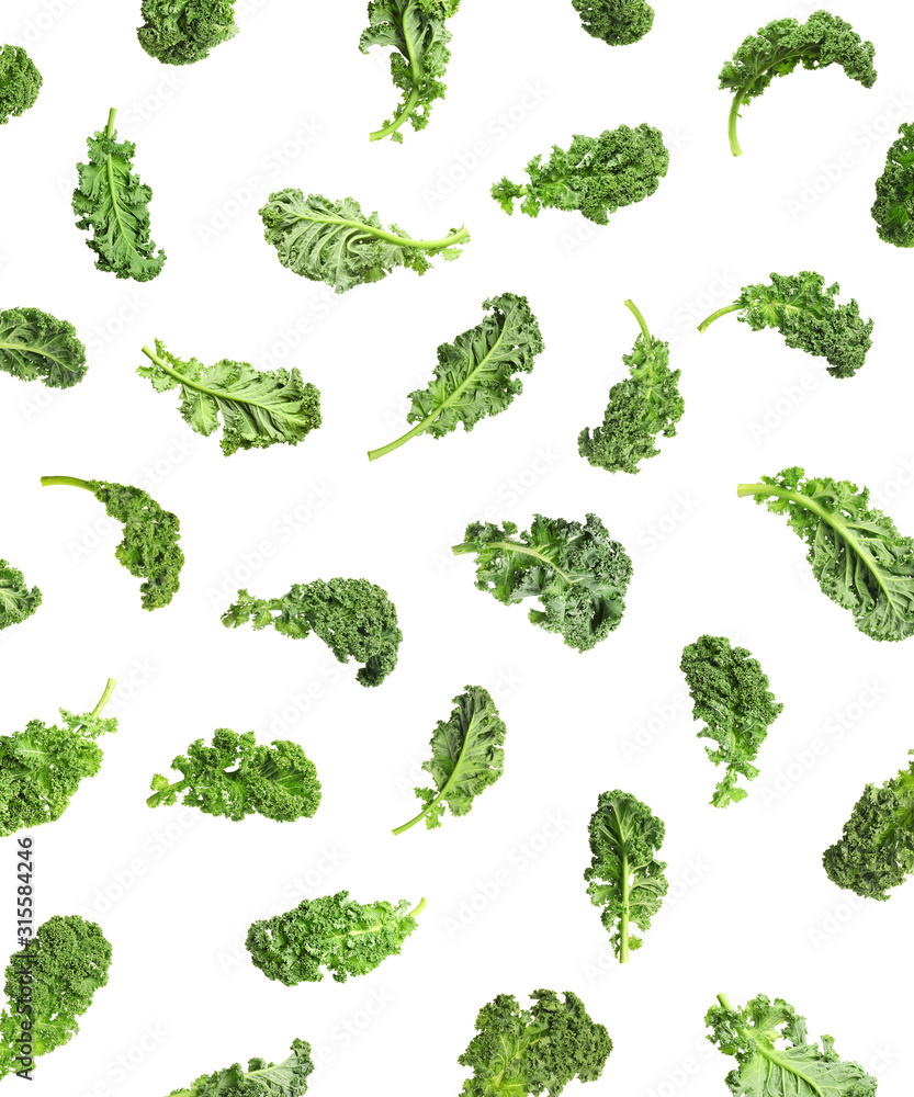 Set of fresh green kale leaves on white background Set of fresh green kale leaves on white background