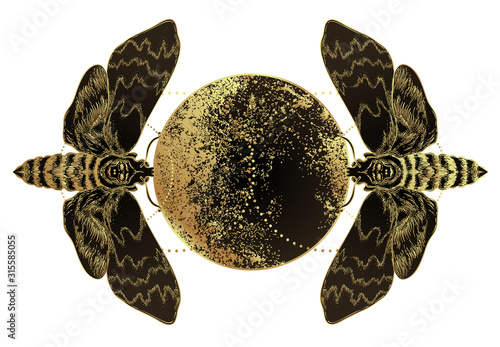 Fototapeta Golden moth over sacred geometry sign, isolated vector illustration