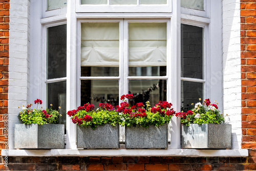 London city downtown with closeup of large bay window and red green flower decorations on sunny summer day and nobody architecture in Pimlico