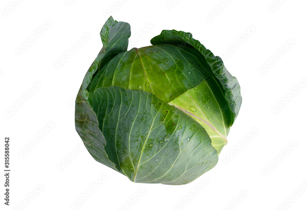 Cabbage isolated on white background. Cabbage isolated on white background.