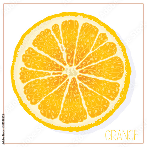 Vector silhouette of an orange slice. Isolated drawing fruit on a white background.
