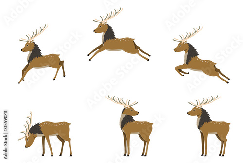 A set of deers in differet poses. Deer jump, fly and stand. Cute deer with antlers in flat cartoon style. Christmas and New Year decoration element. Isolated vector illustration.
