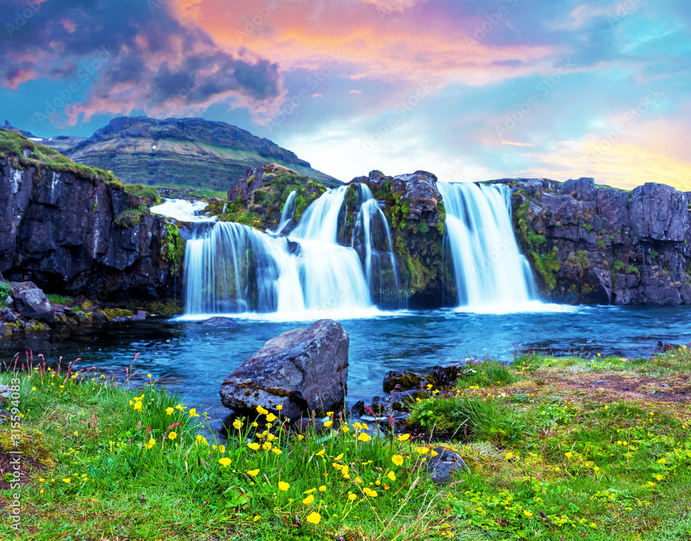 Beautiful terrific landscape with yellow flowers and big stone near waterfall Kirkjufell in Iceland at sunset. Exotic countries. Amazing places. Popular tourist atraction. 