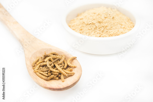 worm flour in wooden spoon and white background