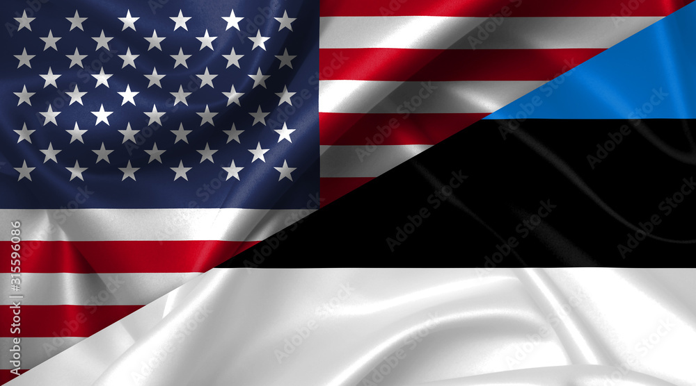 Fototapeta premium United States USA vs Estonia flags comparison concept Illustration