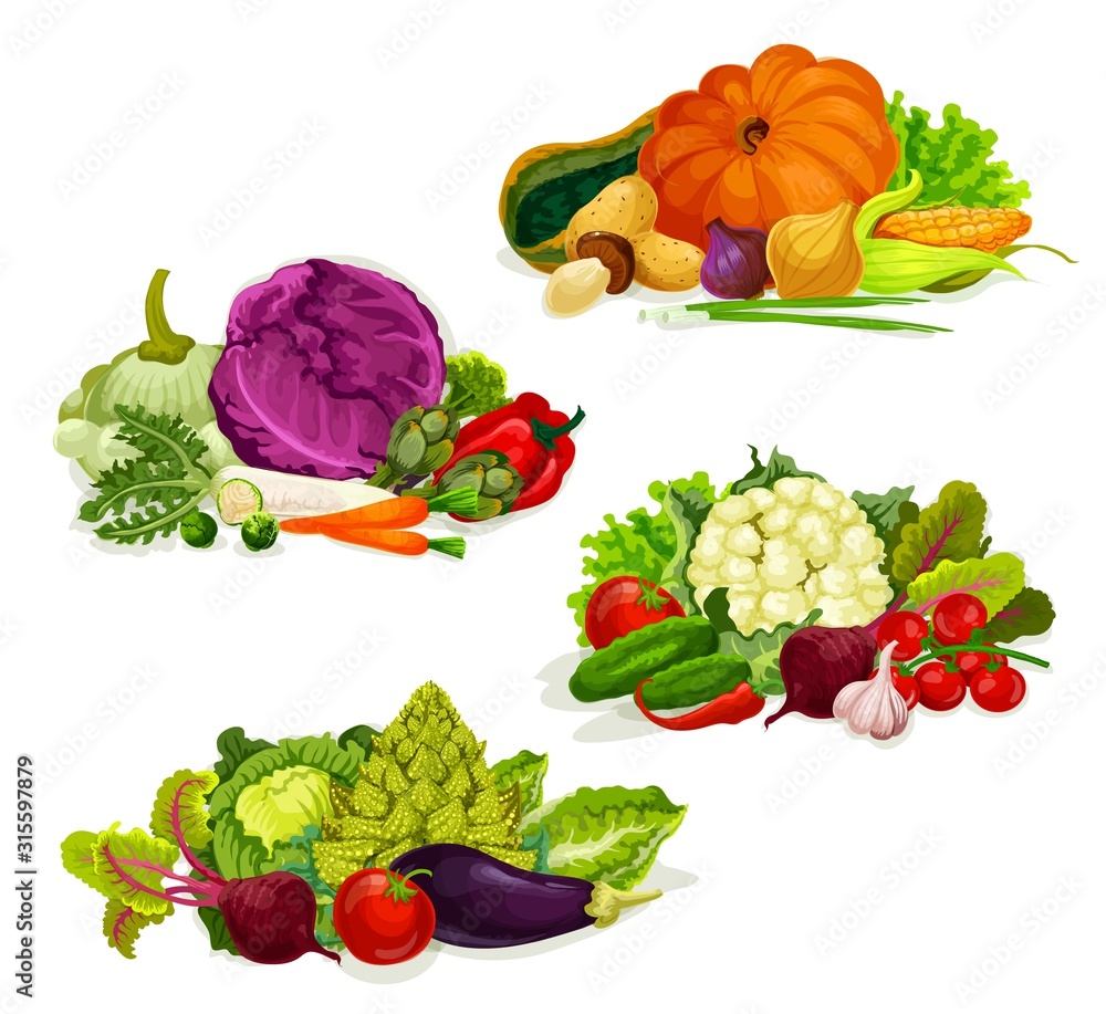 Fototapeta premium Vegetables and farm market veggies, salads and cabbages food. Vector organic vegetarian pumpkin, garlic or onion an eggplant, turnip and beet or radish, pepper and carrot, tomato and zucchini squash