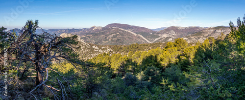 Secret Provence : Mountain landscape and evergreen mediterranean forest in Baronnies Regional Park, France © nomadkate