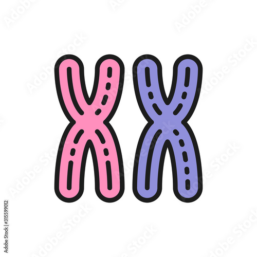 Female XX chromosomes, woman sex, genes flat color line icon.