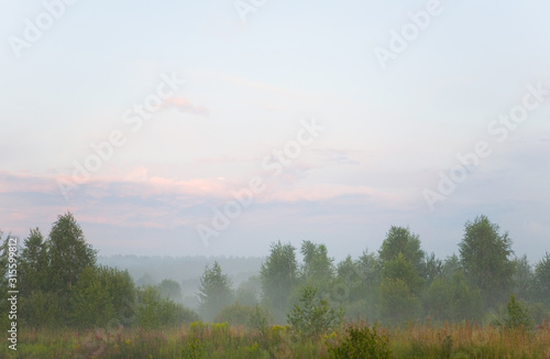 The nature of central Russia in the evening fog.