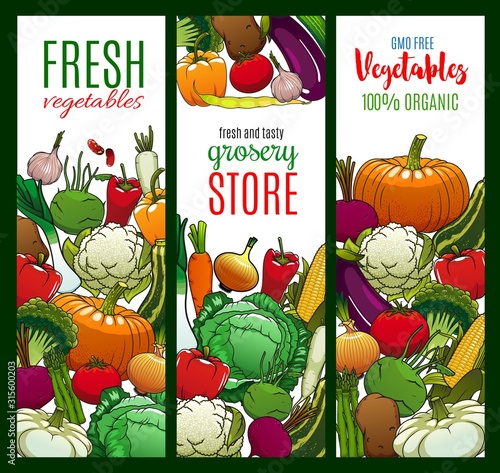 Vegetables, organic farm food veggies and GMO free cabbages. Vector carrot, green onion, tomato and corn, vegetarian pumpkin, cucumber, broccoli and zucchini squash, vegan asparagus and cauliflower