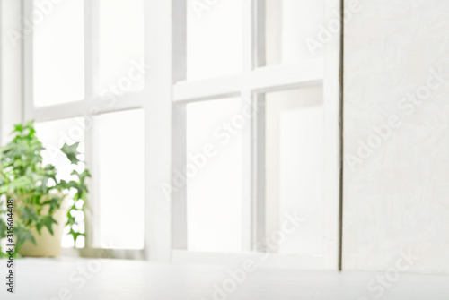 明るい部屋　観葉植物　窓