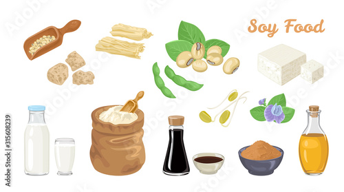 Soy food set. Soybeans and pods, tofu, scoop with beans, soy meat, milk in  bottle and glass, sauce, miso paste, oil, bag of flour, tofu skin, soy sprouts and flower. Vector cartoon flat illustration.