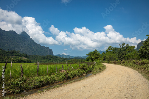 Tropical village Vang Vieng  Laos. Green palms.