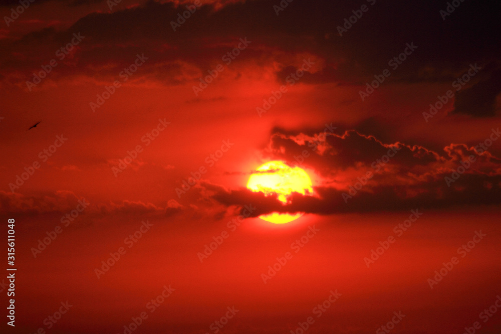 Fototapeta premium sunset in the sky