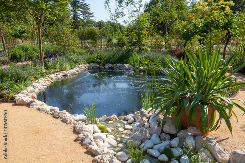 Aménagment paysager de jardin - bassin et rocaille photo