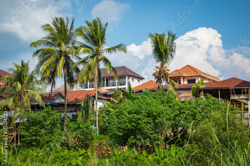 Tropical village Vang Vieng  Laos. Green palms.