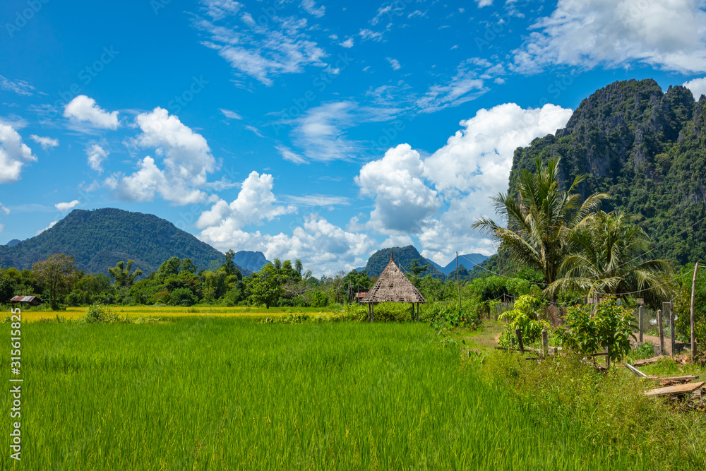 Green rice fields and mountains, Vang Vieng, Laos, Southeast Asia. Green rice fields and mountains, Vang Vieng, Laos, Southeast Asia.