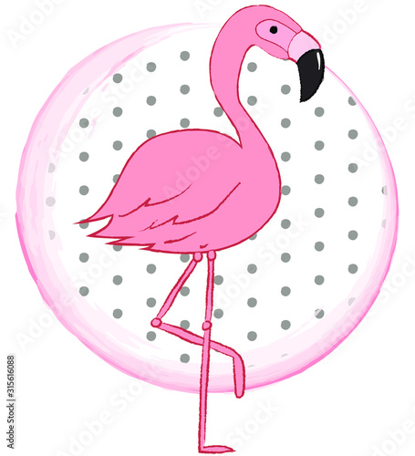 Flamingo 