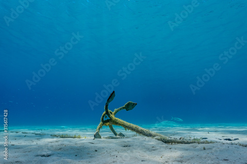 Old anchor in bottom of the sea near Lipsoi island Greece Fototapete