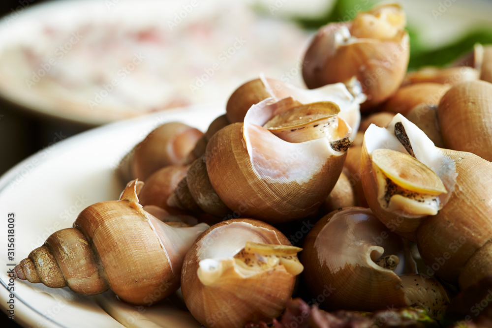 Cooked seashell on white plate Cooked seashell on white plate