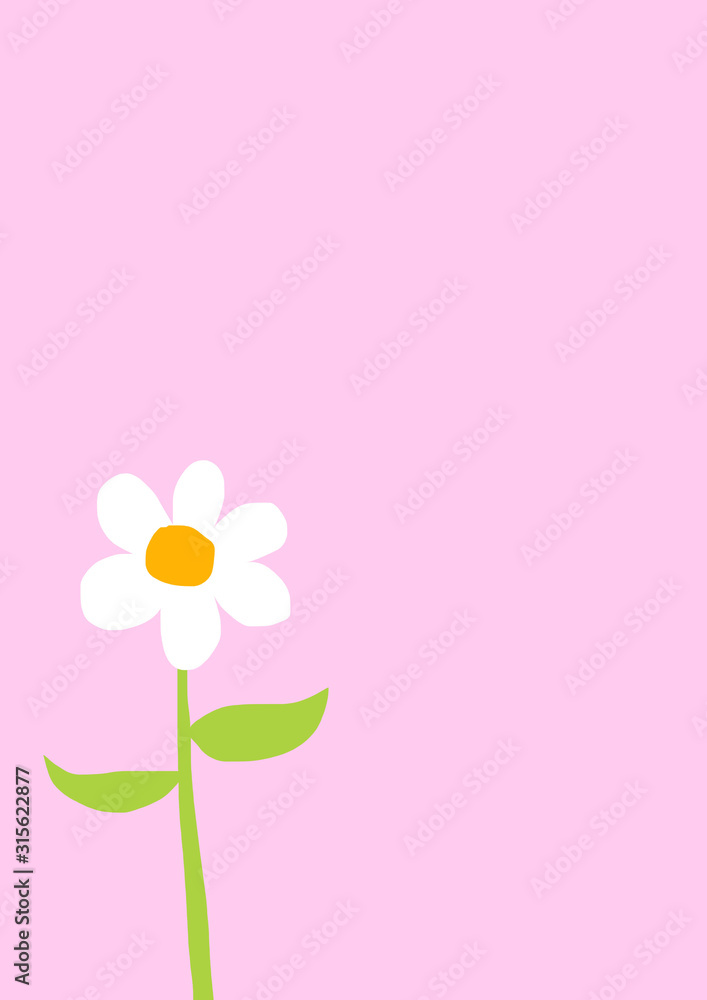 flower on pink background
