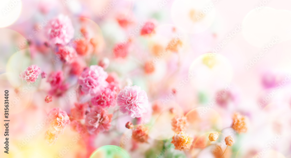 Spring floral composition made of fresh colorful flowers on light pastel background. Festive flower concept with copy space.
