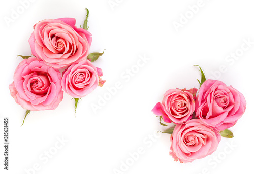 Beautiful pink roses