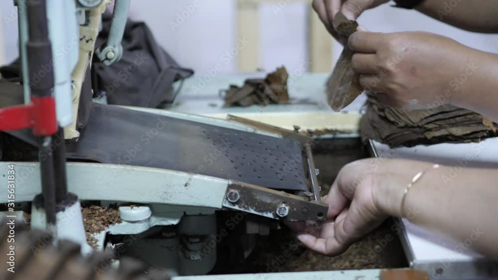 Cigar rolling traditional machine inside a cigar factory producing homemade cigars, close up of woman hands operating cigar rolling machine Cigar rolling traditional machine inside a cigar factory producing homemade cigars, close up of woman hands operating cigar rolling machine