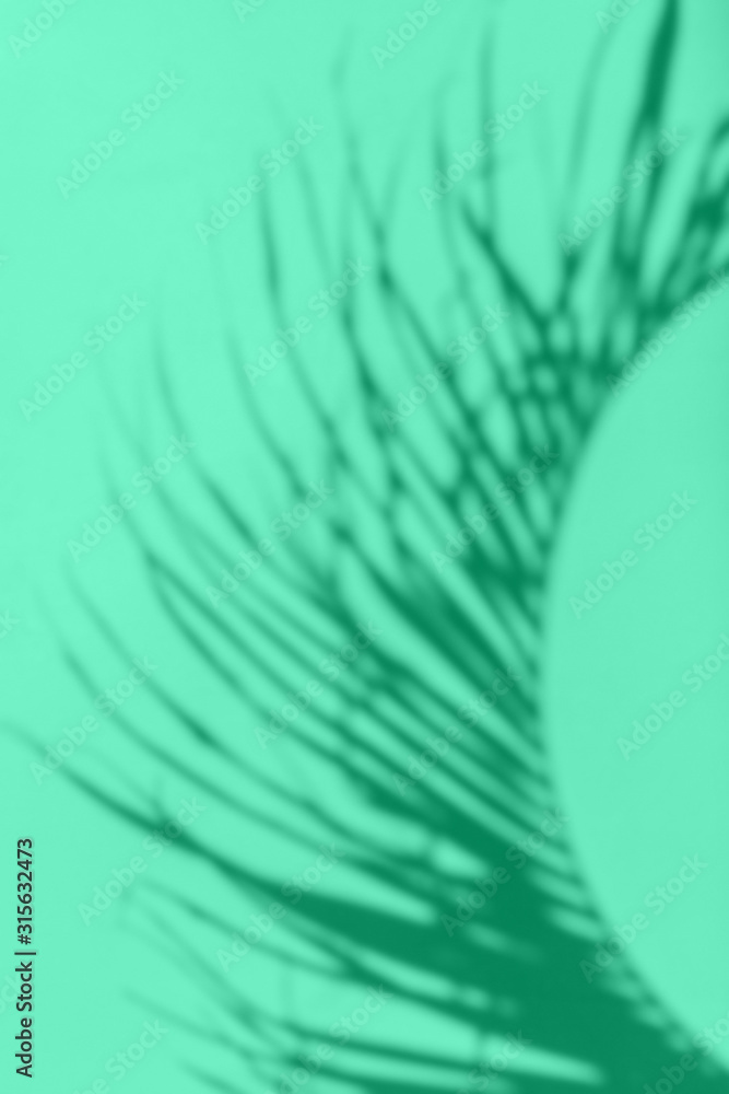 Obraz premium Tropical leaves shadows with copy space on turquoise background