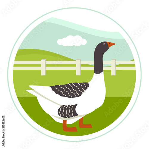 Farming today Pomeranian goose on a green meadow Cartoon Flat Vector Illustration Banner