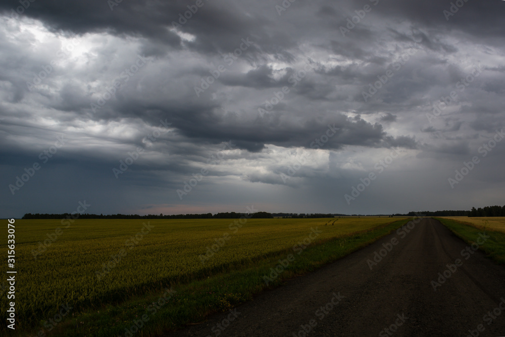 road during a storm in a green field, dark gray clouds and showers