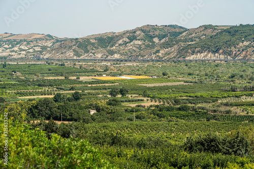 Rural landscape near Policoro, Basilicata