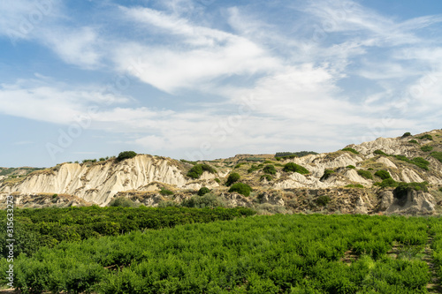 Rural landscape near Policoro, Basilicata