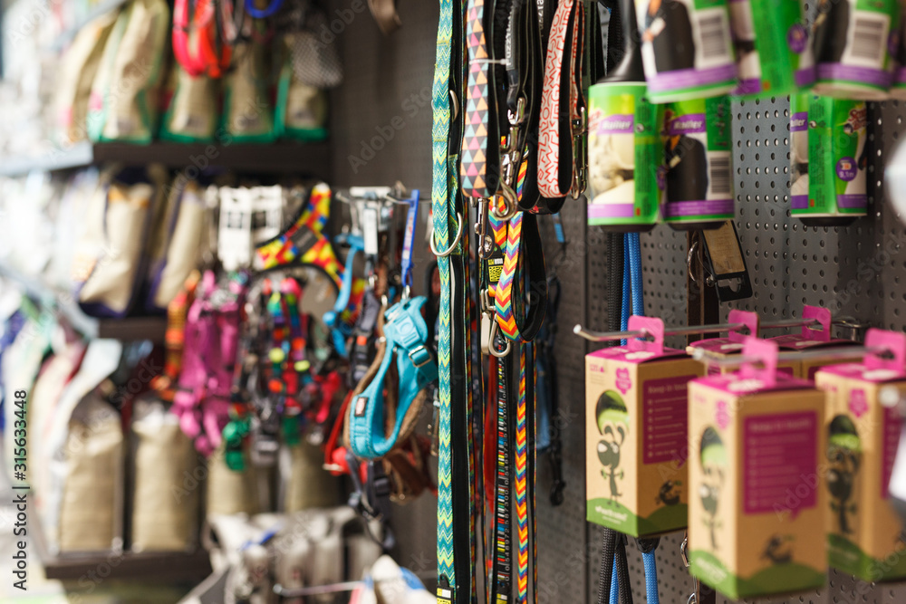 Fototapeta premium Different variation of goods for animals in pet shop