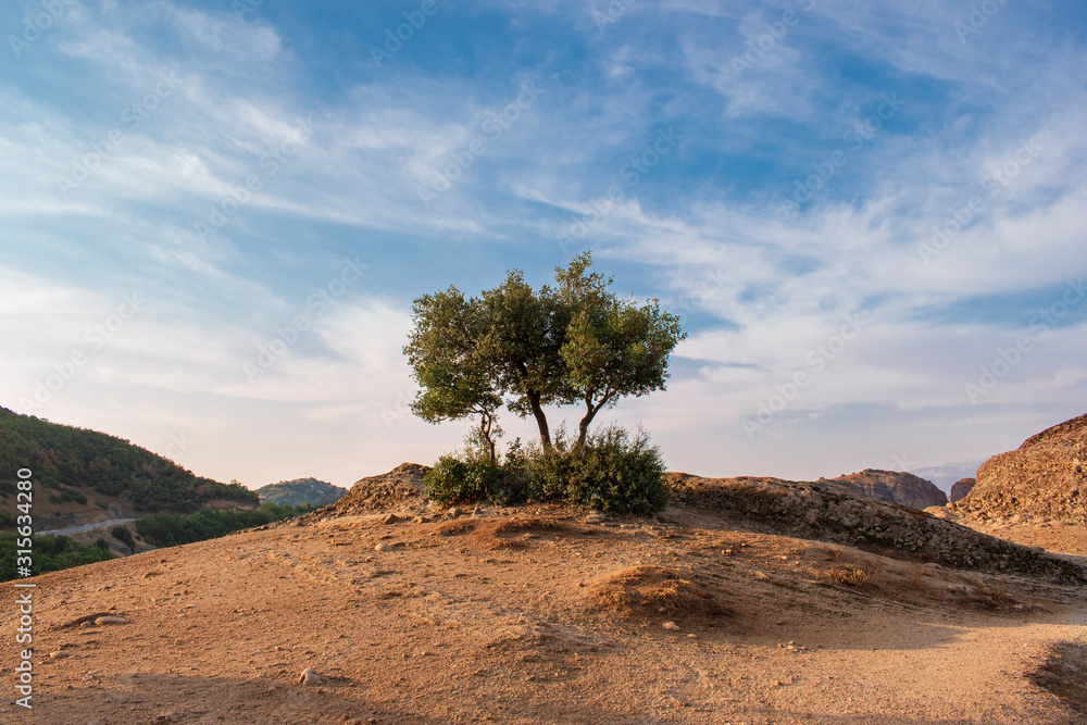 Naklejka premium Lonely olive tree on top of a mountain against a blue sky with clouds. Beautiful landscape in the unique high mountains of Meteora, Greece. One single tree on a deserted rock.