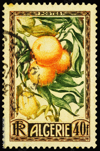 Oranges and lemons on postage stamp