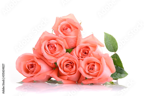 orange rose flower bouquet isolated on white background  beauty peach color tone