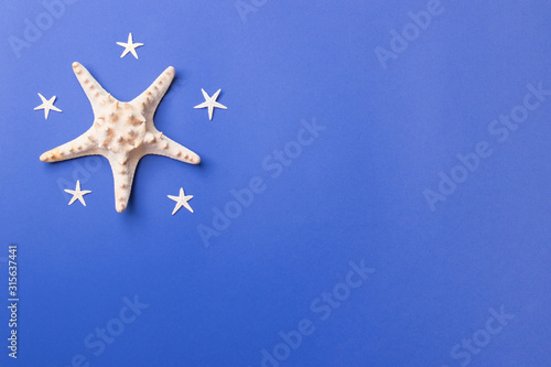 one big starfish and five small lying on a blue background in left corner, top view with copy space
