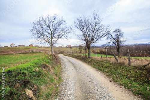 Rural road , countryside view © mitarart