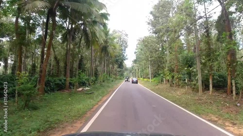 POV shot from a fast moving car on a  a narrow road in a thick forest on a morning, Kerala, India photo