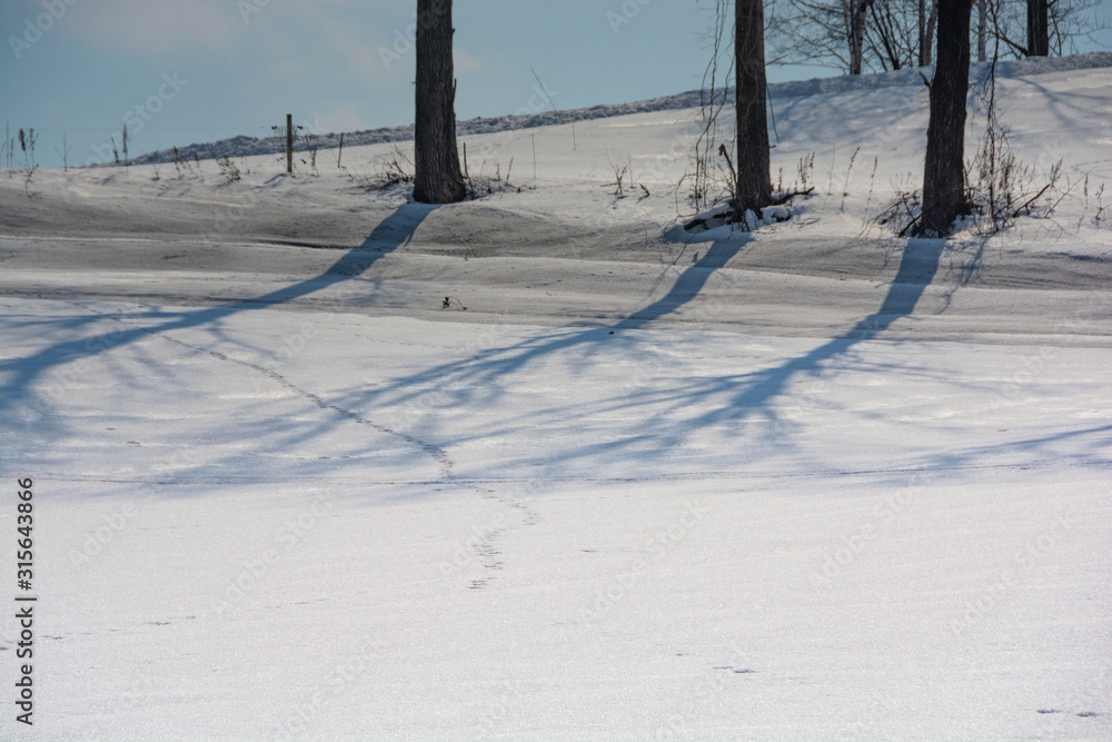 雪の畑と野生動物の足跡 Stock Photo Adobe Stock