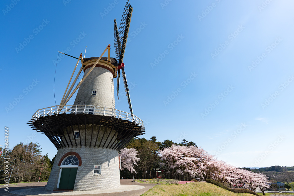 長沼フートピア公園オランダ風車と満開の桜並木