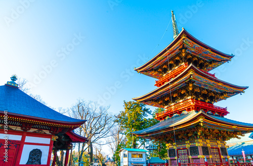 Pagoda at Narita-san Shinsho-ji temple  near Tokyo  Japan
