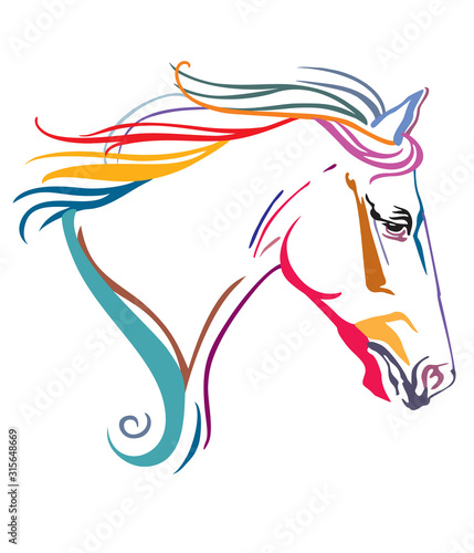 Colorful decorative horse 14