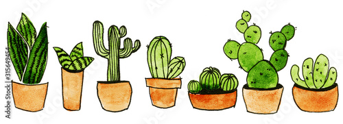 set of succulents cacti painted in watercolor